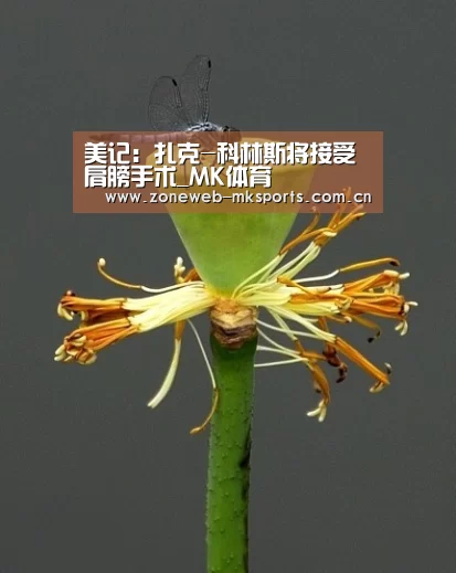 美记:扎克-科林斯将接受肩膀手术_MK体育(图2) MK体育下载