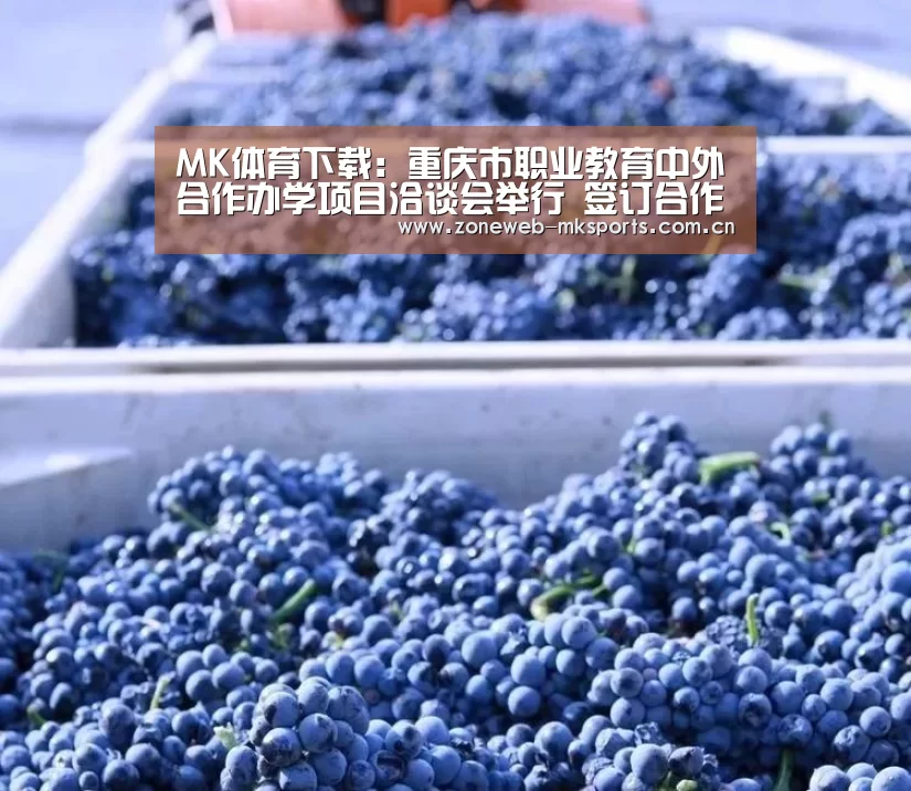 MK体育下载:重庆市职业教育中外合作办学项目洽谈会举行 签订合作项目协议书19项(图1) MK体育